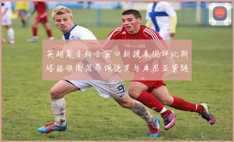 英超夏季转会窗口新援表现评比斯塔赫领衔若昂佩德罗与库尼亚紧随其后
