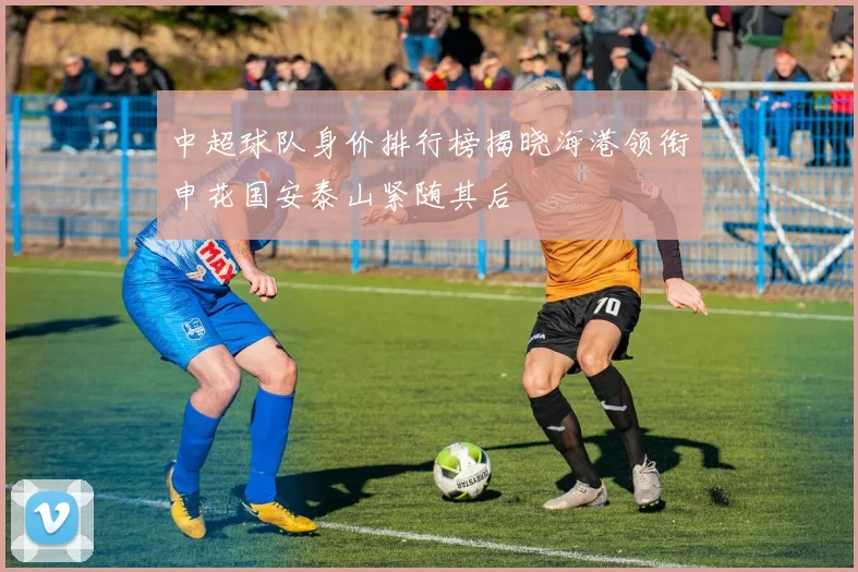 中超球队身价排行榜揭晓海港领衔申花国安泰山紧随其后