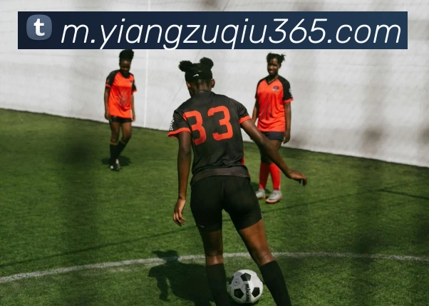 意昂体育APP 封面图